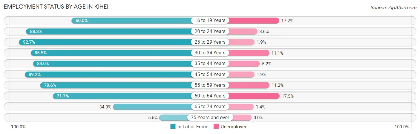 Employment Status by Age in Kihei