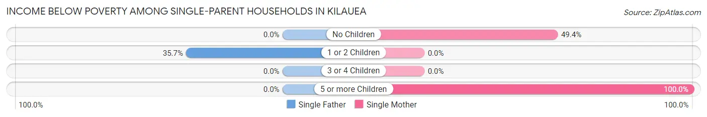 Income Below Poverty Among Single-Parent Households in Kilauea