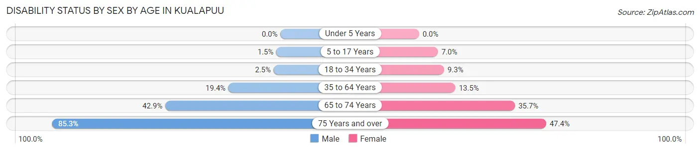 Disability Status by Sex by Age in Kualapuu