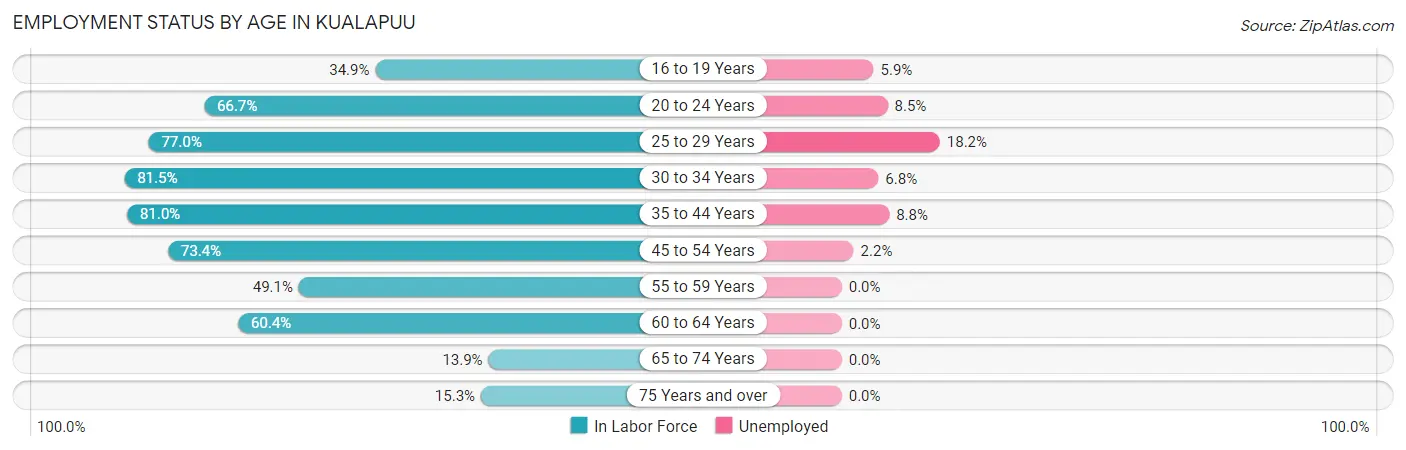 Employment Status by Age in Kualapuu