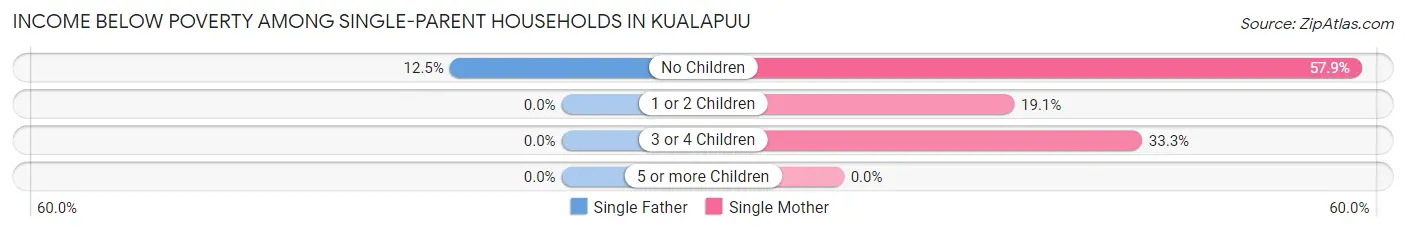 Income Below Poverty Among Single-Parent Households in Kualapuu