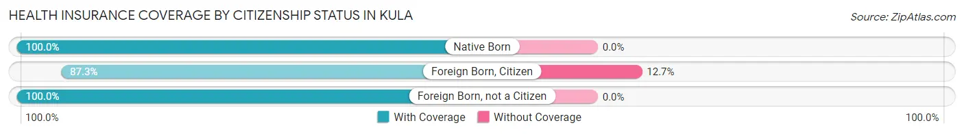 Health Insurance Coverage by Citizenship Status in Kula