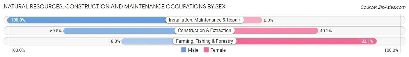 Natural Resources, Construction and Maintenance Occupations by Sex in Kula