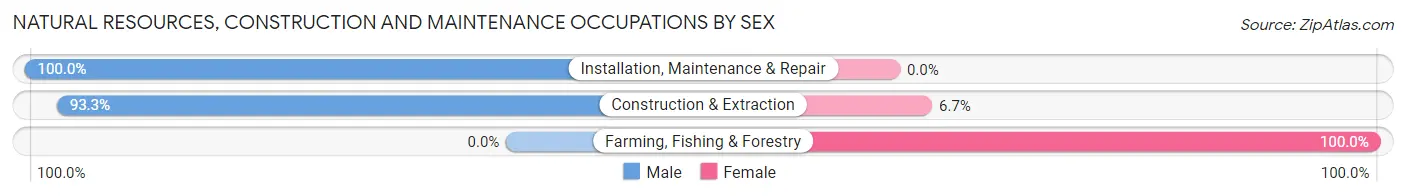 Natural Resources, Construction and Maintenance Occupations by Sex in Laie