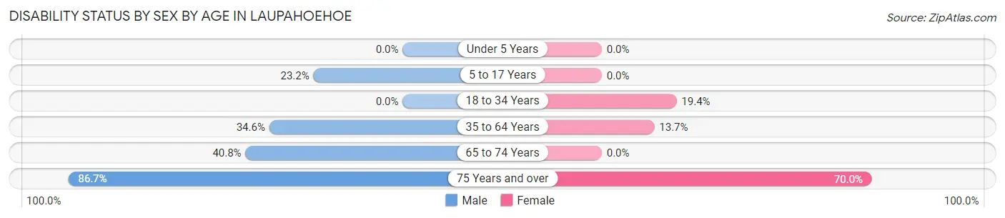 Disability Status by Sex by Age in Laupahoehoe