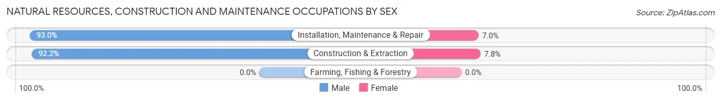Natural Resources, Construction and Maintenance Occupations by Sex in Makaha