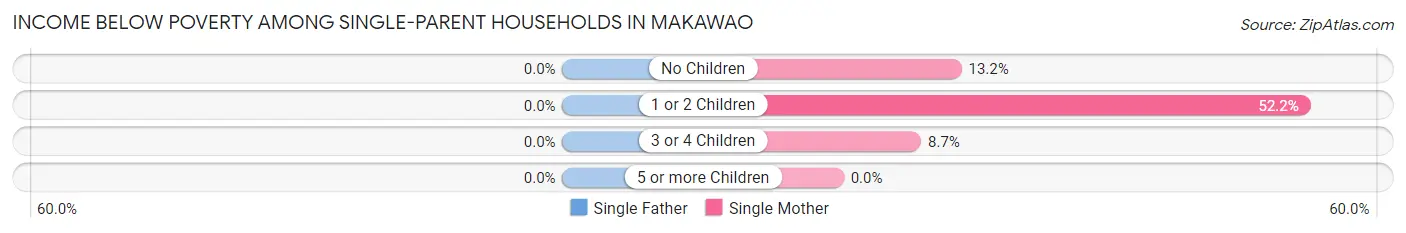 Income Below Poverty Among Single-Parent Households in Makawao