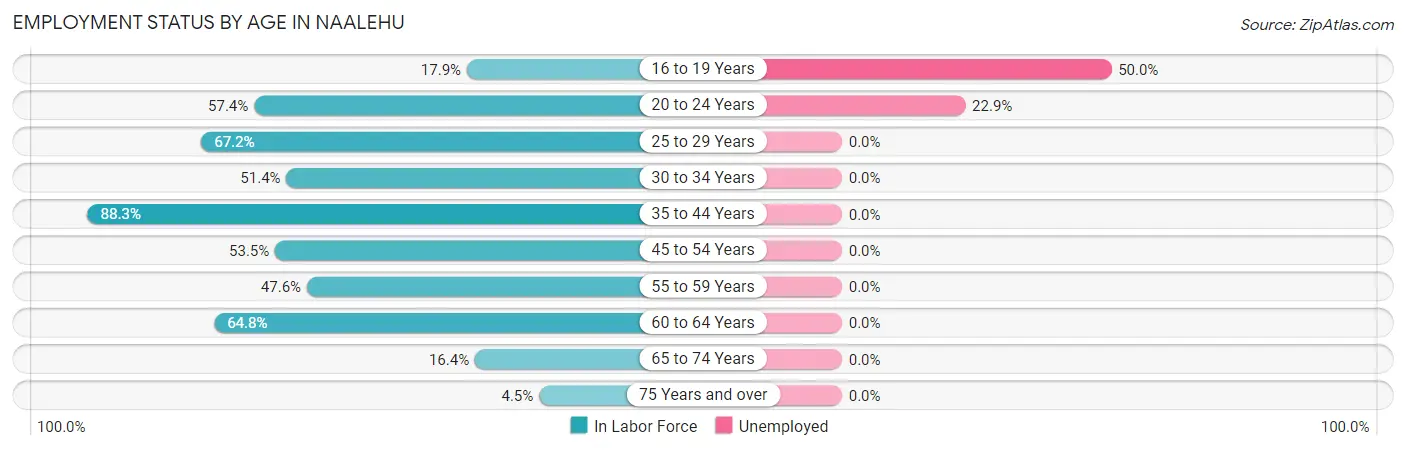 Employment Status by Age in Naalehu