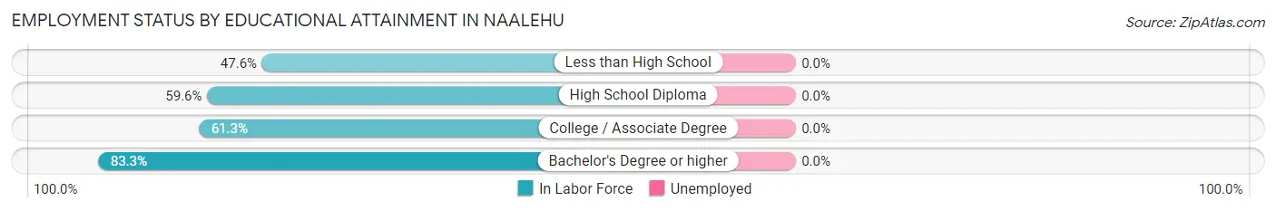 Employment Status by Educational Attainment in Naalehu