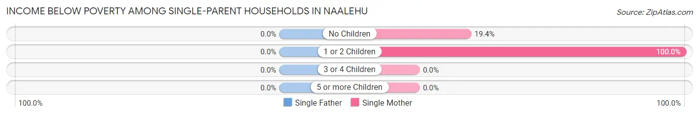Income Below Poverty Among Single-Parent Households in Naalehu