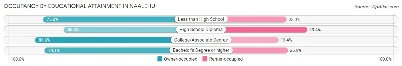 Occupancy by Educational Attainment in Naalehu