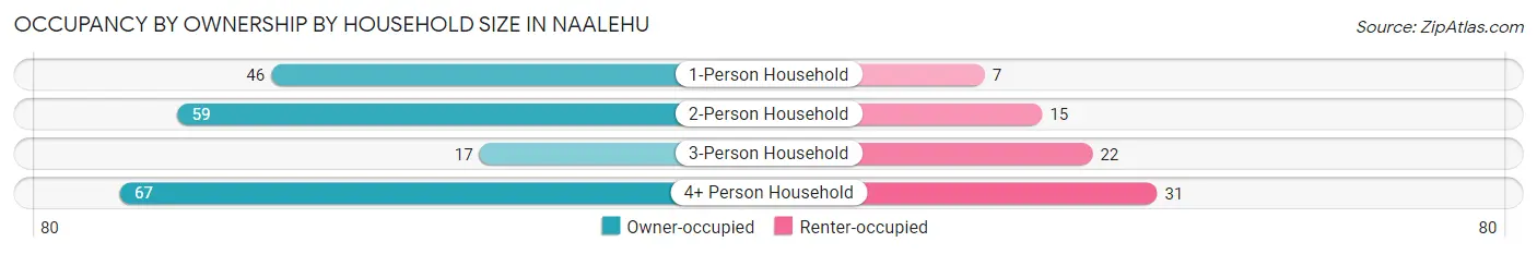 Occupancy by Ownership by Household Size in Naalehu