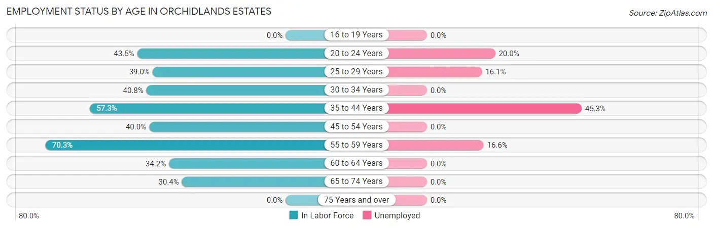 Employment Status by Age in Orchidlands Estates
