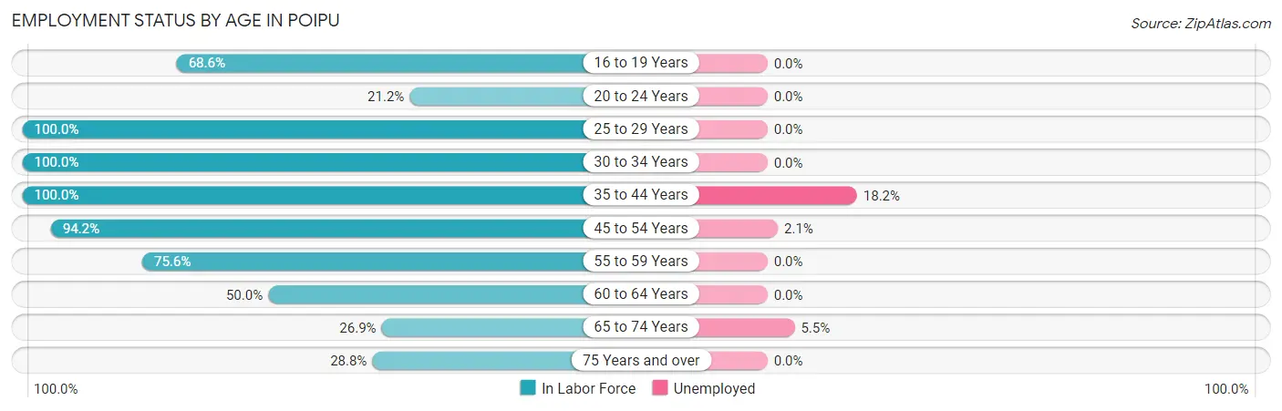 Employment Status by Age in Poipu