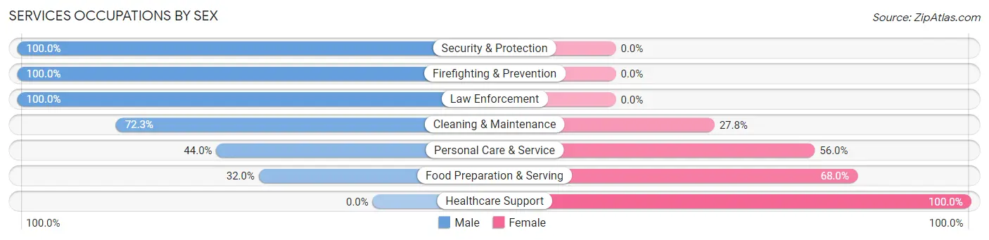 Services Occupations by Sex in Puhi