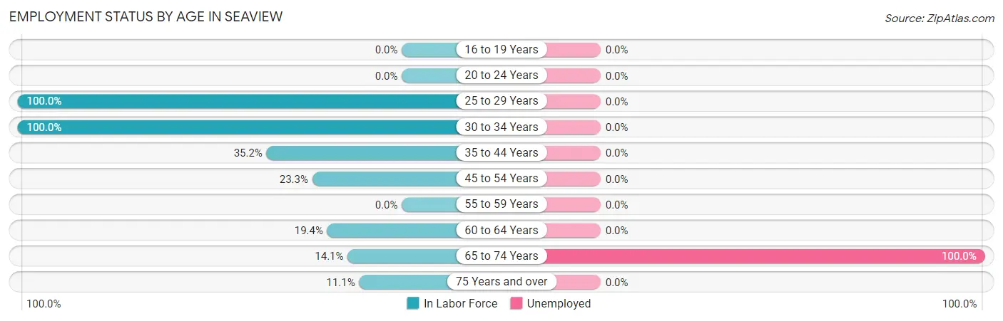 Employment Status by Age in Seaview