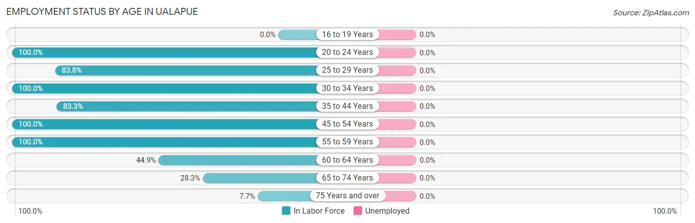 Employment Status by Age in Ualapue