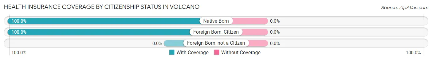 Health Insurance Coverage by Citizenship Status in Volcano
