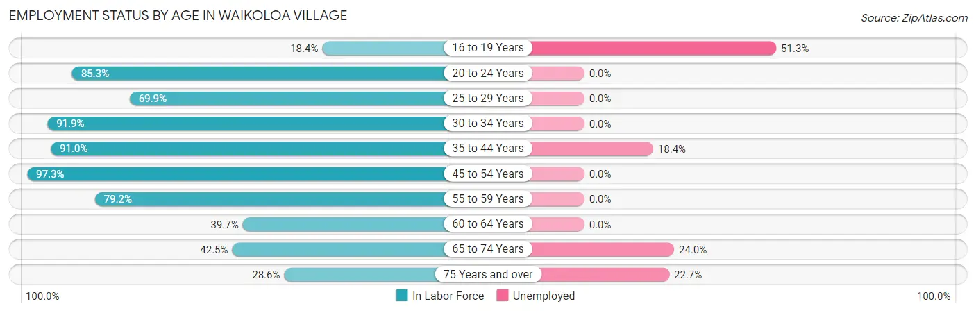 Employment Status by Age in Waikoloa Village