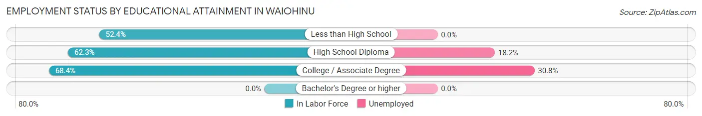 Employment Status by Educational Attainment in Waiohinu