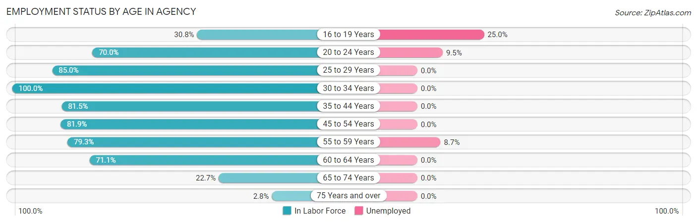 Employment Status by Age in Agency
