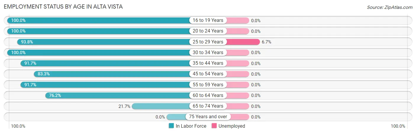Employment Status by Age in Alta Vista
