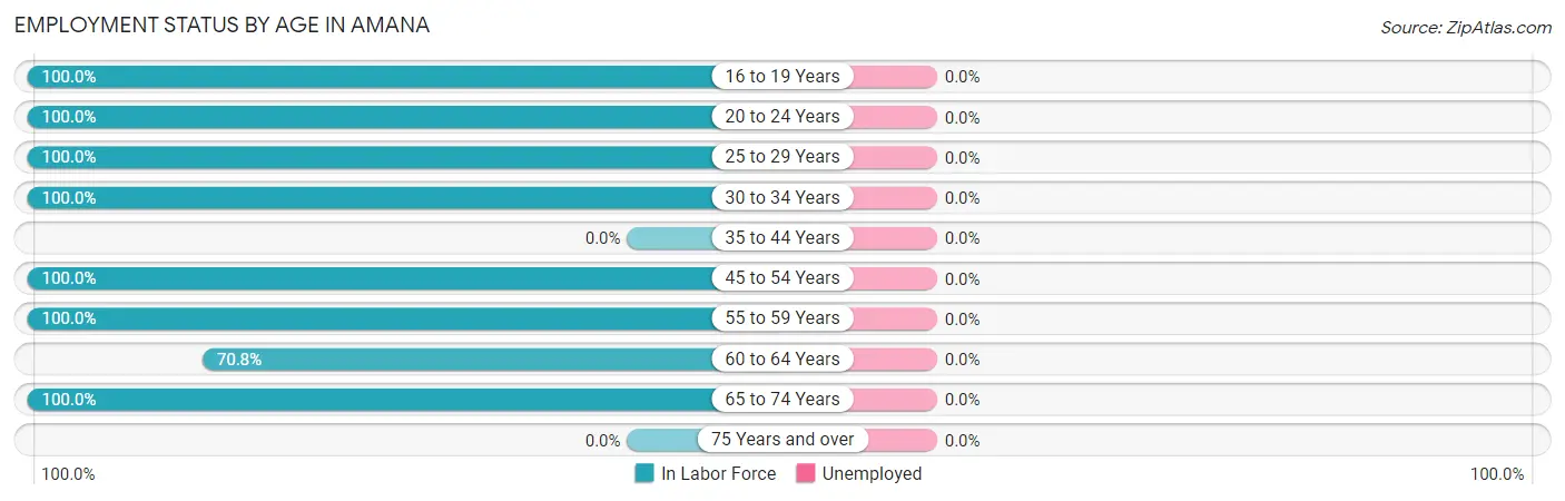 Employment Status by Age in Amana