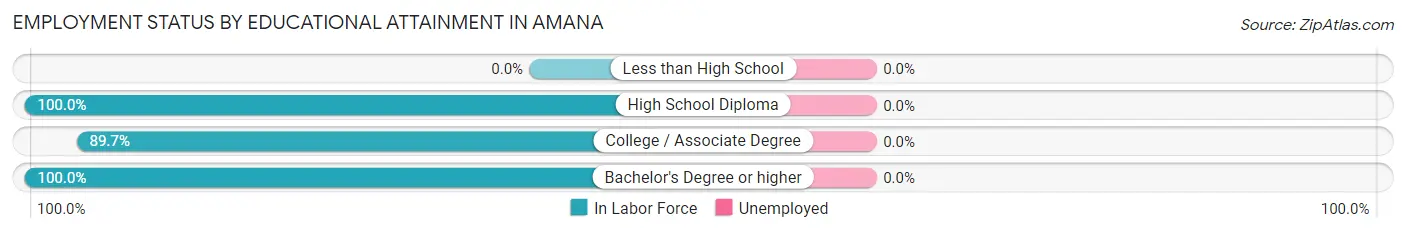 Employment Status by Educational Attainment in Amana