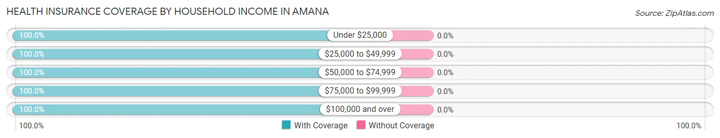 Health Insurance Coverage by Household Income in Amana