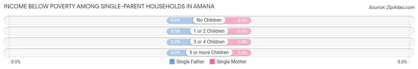 Income Below Poverty Among Single-Parent Households in Amana