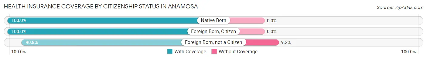 Health Insurance Coverage by Citizenship Status in Anamosa