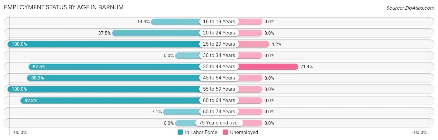 Employment Status by Age in Barnum