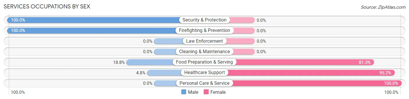 Services Occupations by Sex in Barnum