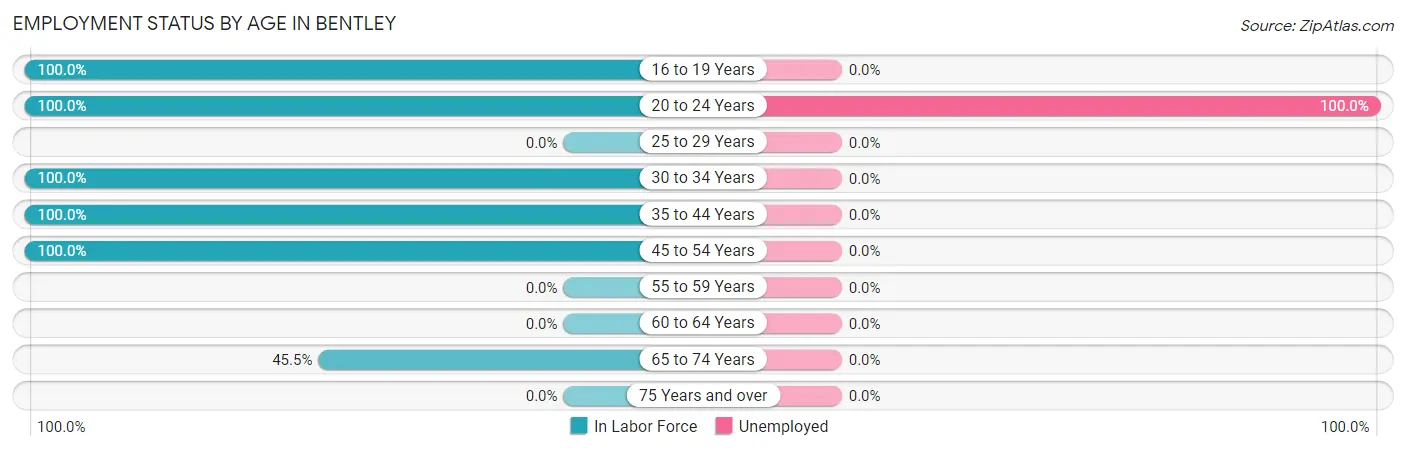 Employment Status by Age in Bentley