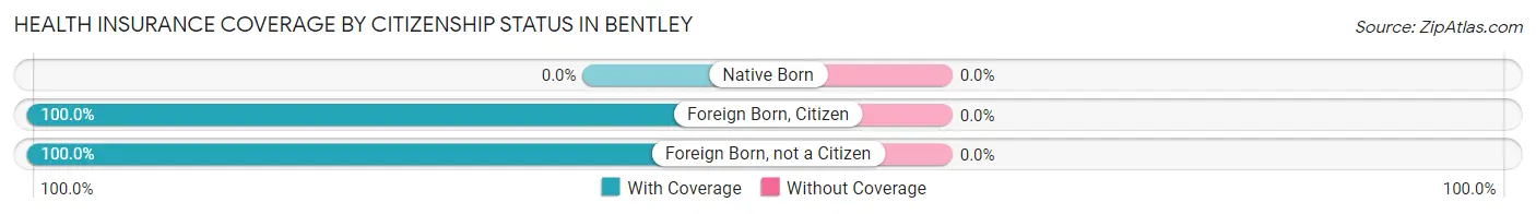 Health Insurance Coverage by Citizenship Status in Bentley