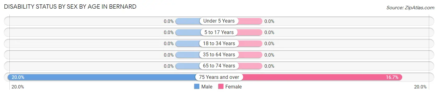 Disability Status by Sex by Age in Bernard