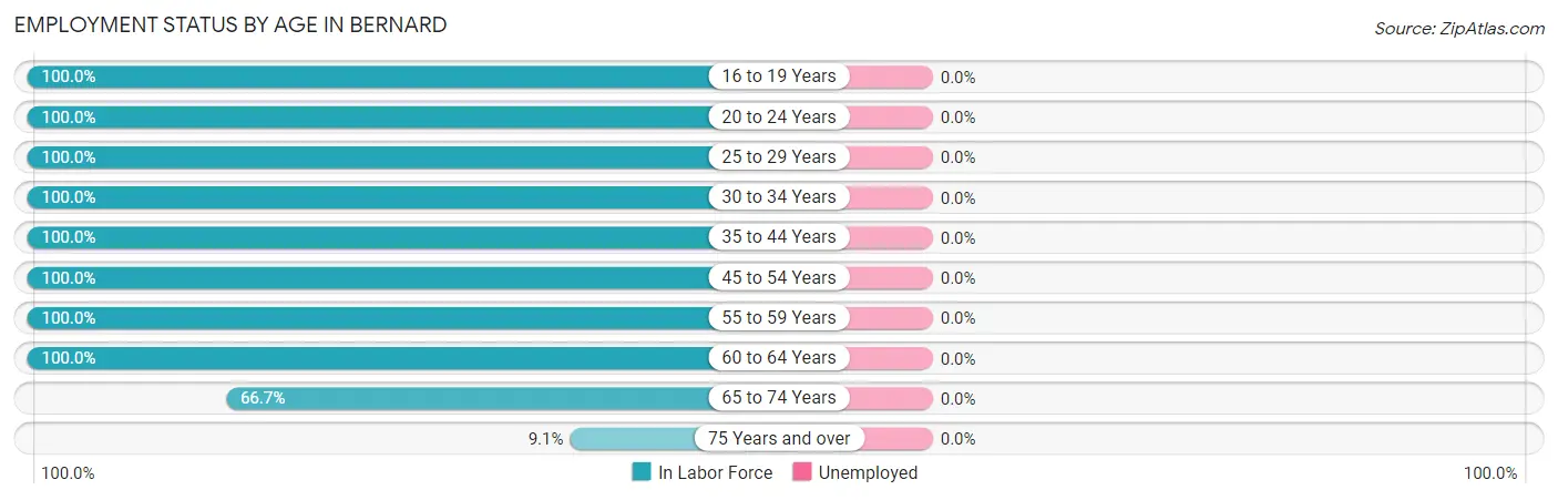 Employment Status by Age in Bernard