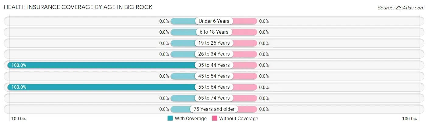 Health Insurance Coverage by Age in Big Rock