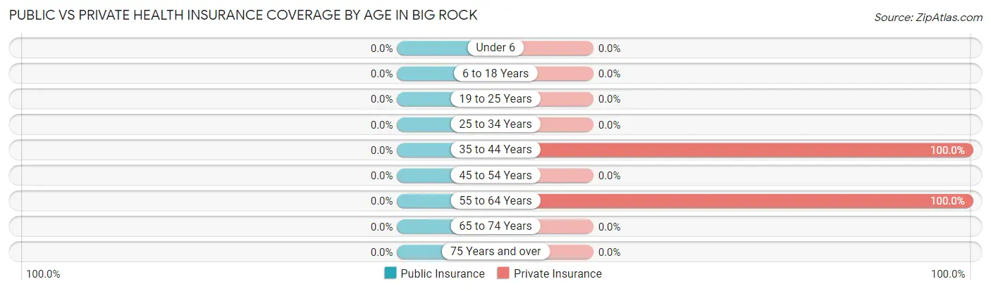 Public vs Private Health Insurance Coverage by Age in Big Rock