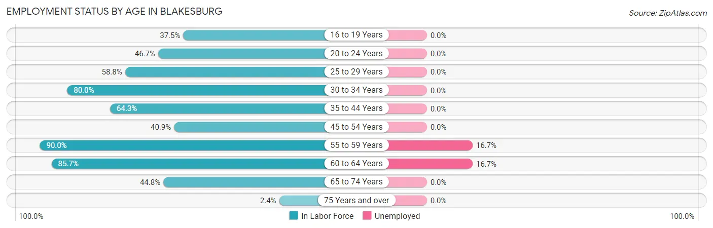 Employment Status by Age in Blakesburg