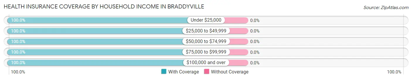 Health Insurance Coverage by Household Income in Braddyville