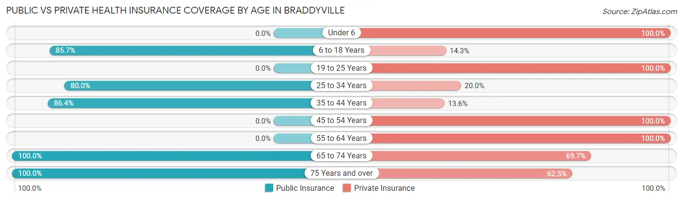 Public vs Private Health Insurance Coverage by Age in Braddyville