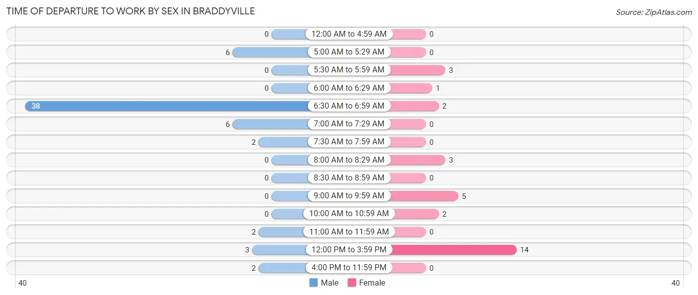 Time of Departure to Work by Sex in Braddyville