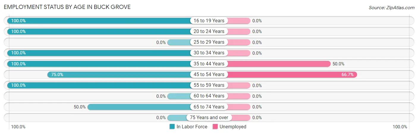 Employment Status by Age in Buck Grove