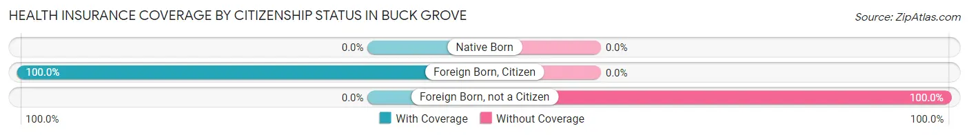 Health Insurance Coverage by Citizenship Status in Buck Grove