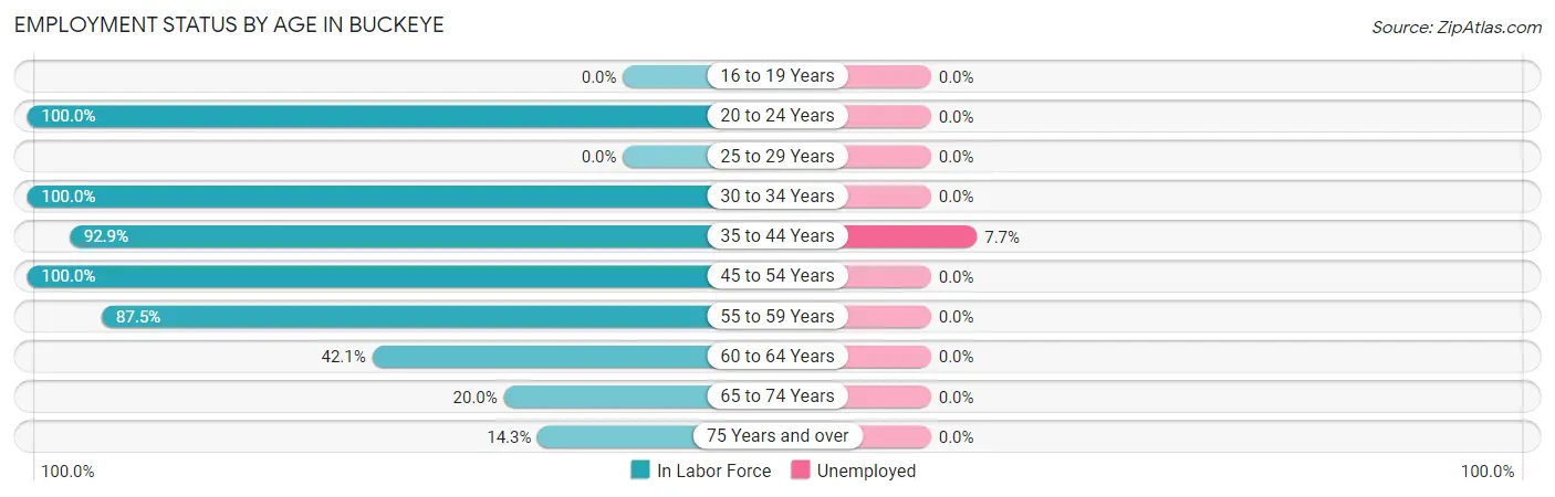 Employment Status by Age in Buckeye