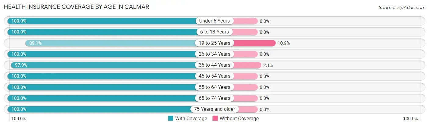 Health Insurance Coverage by Age in Calmar