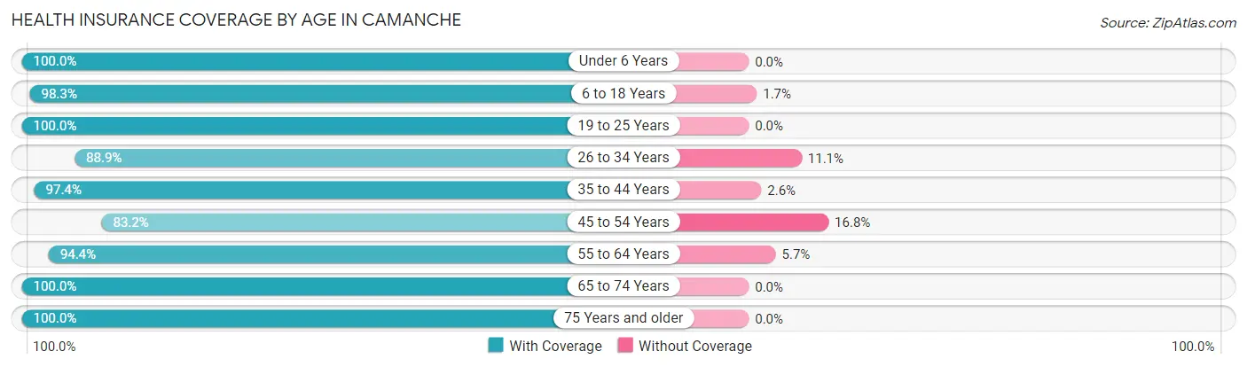 Health Insurance Coverage by Age in Camanche