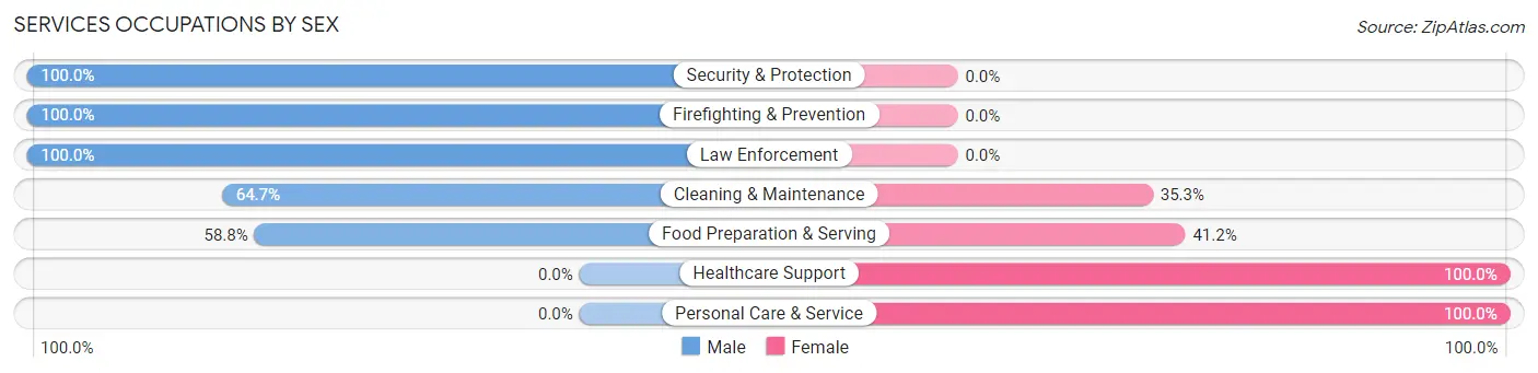 Services Occupations by Sex in Camanche