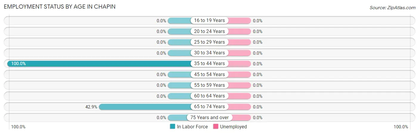 Employment Status by Age in Chapin